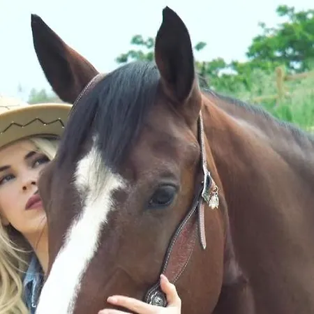 Abruzzo Horse Academy