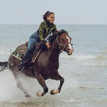 Appartement Abruzzo Horse Academy